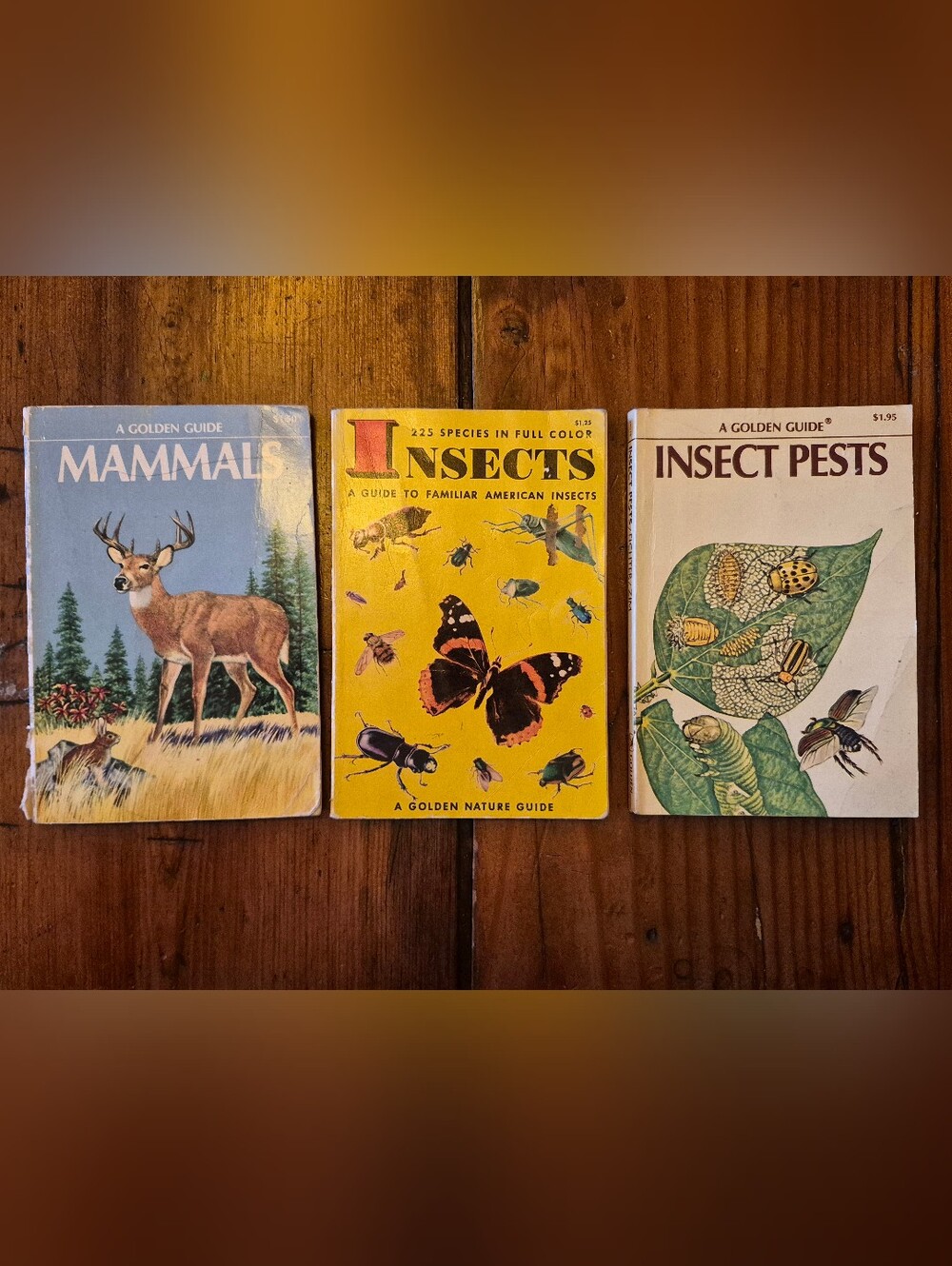 1950-60's Golden Books